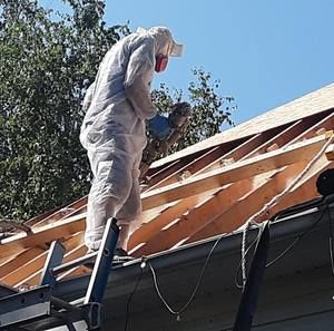 Meet your Posher, Ray